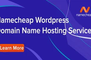 Configuring Your Domain And Hosting With Namecheap And WordPress