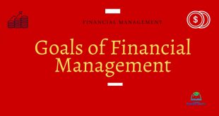 Summary Of The Goals Of Financial Management